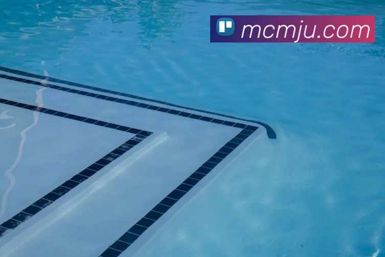 App Interface Preview